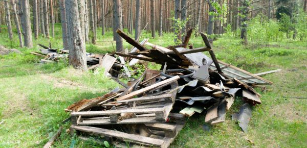 Debris Removal Service in Ashburn